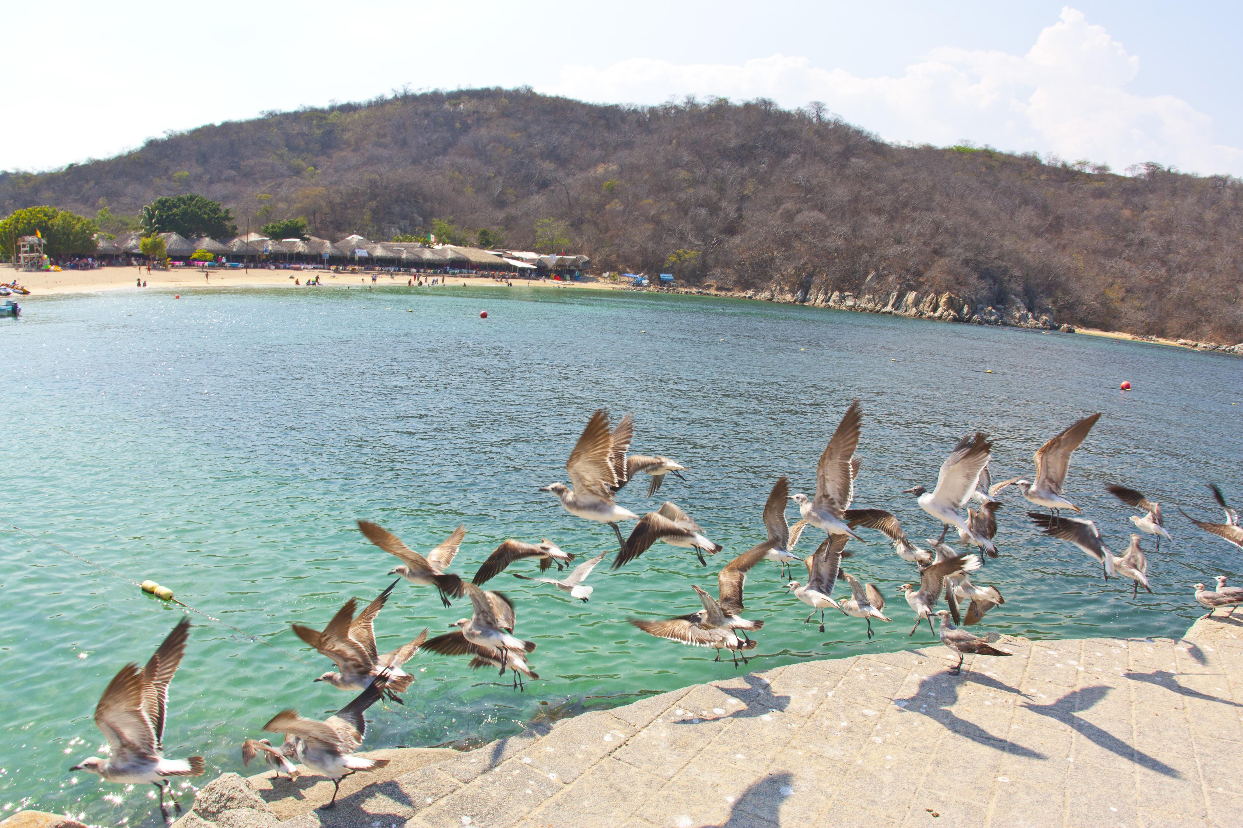 Villa Blanca Huatulco Santa Cruz Huatulco Dış mekan fotoğraf